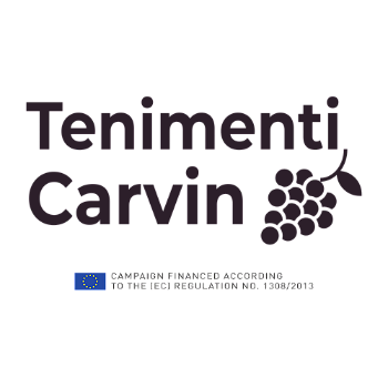 Carvin Srl