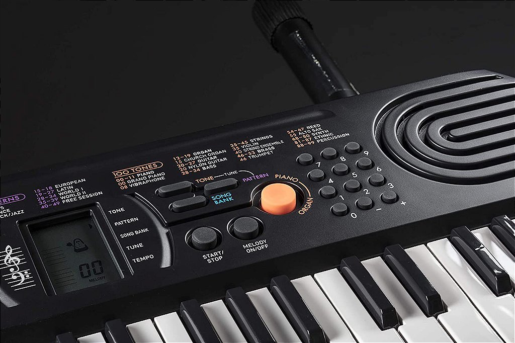 Teclado Musical Casio Infantil SA-81H2 - RCK AUDIO - Instrumentos Musicais  e Áudio Profissional
