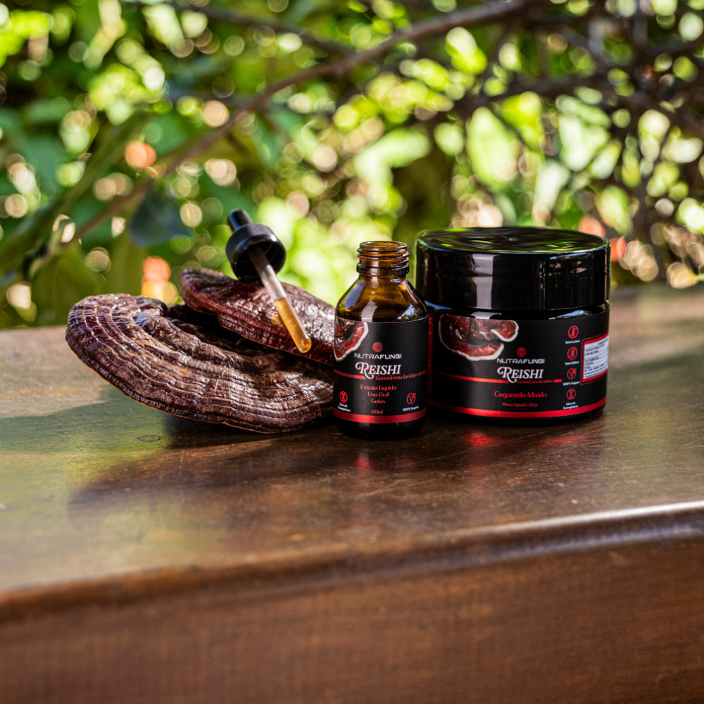 Cogumelos Reishi Ganoderma spp. inteiros