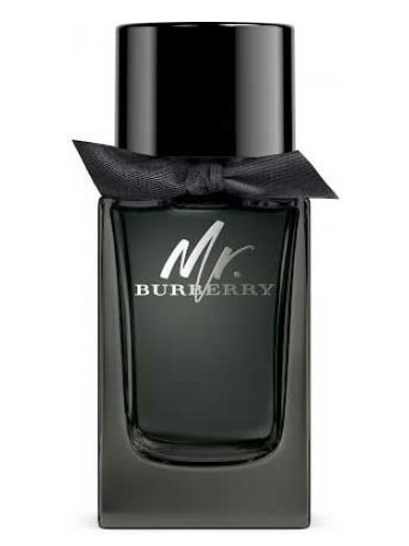 BURBERRY Mr. BURBERRY MASCULINO EAU DE PARFUM Beaty Outlet Perfumes Importados