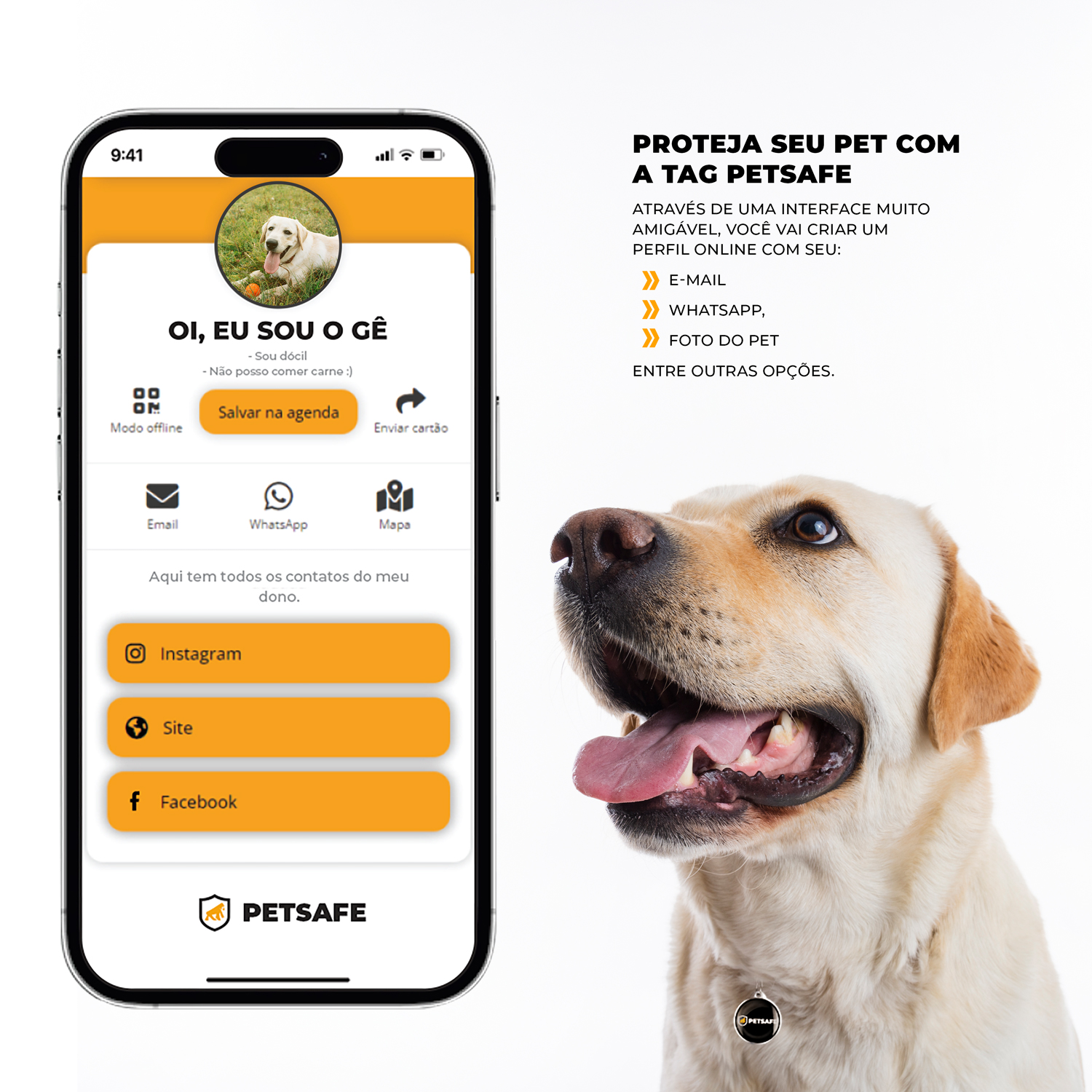 Pingente Tag de Identificação para Coleira de Cães e Gatos com QRCode - PetSafe - Gshield - foto 2
