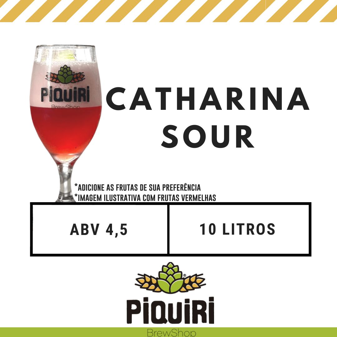 Cerveja Fantasy Catharina Sour 355ml - cervejabox