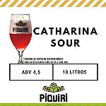 Cerveja Fantasy Catharina Sour 355ml - cervejabox