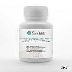 Probiótico Emagrecedor Max Fit : Lactobacillus Curvatus 2 bilhões + Lactobacillus Reuteri 2 bilhões + Fos 200mg - 120 Cápsulas