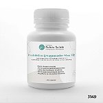 Probiótico Emagrecedor Max Fit : Lactobacillus Curvatus 2 bilhões + Lactobacillus Reuteri 2 bilhões + Fos 200mg - 60 Cápsulas