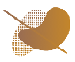 Logo de Dudumeji