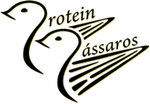 Protein Pássaros