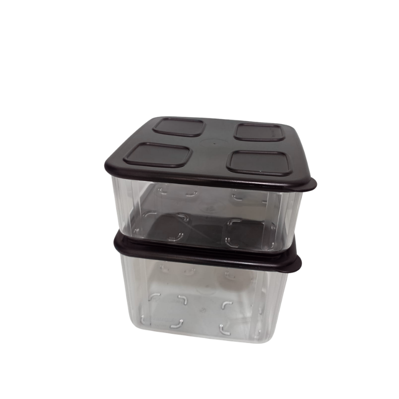 Tupperware Kit Clear Mate Quadrado 5 Peças - Loja Tupperware ChefeWare