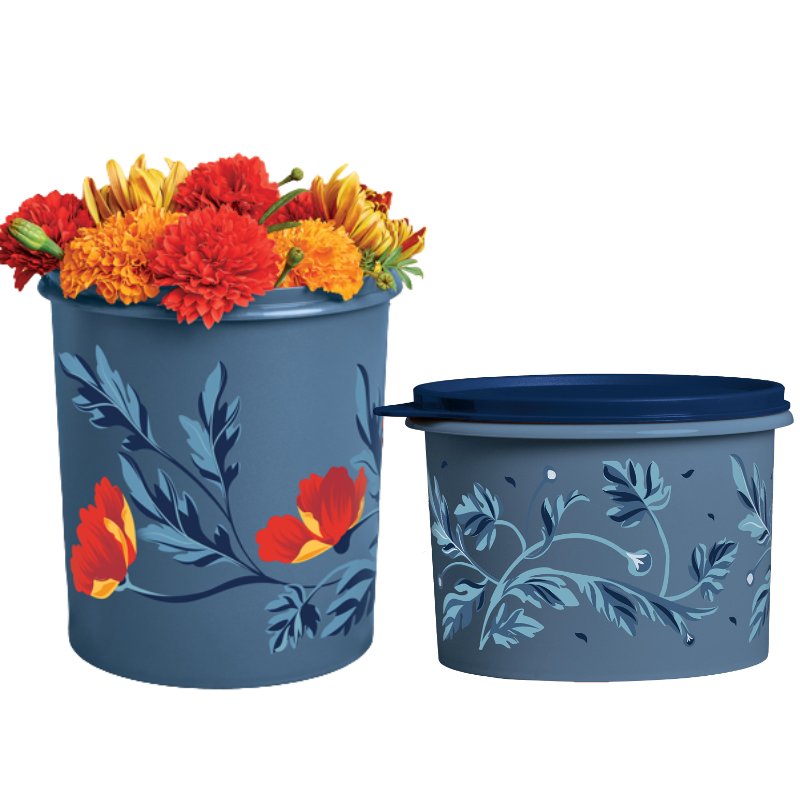 Tupperware Kit Caixa Florales 2 Pecas - Loja Tupperware ChefeWare