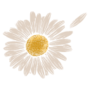 Logo de Bem Me Visto