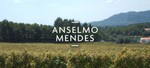 Anselmo Mendes