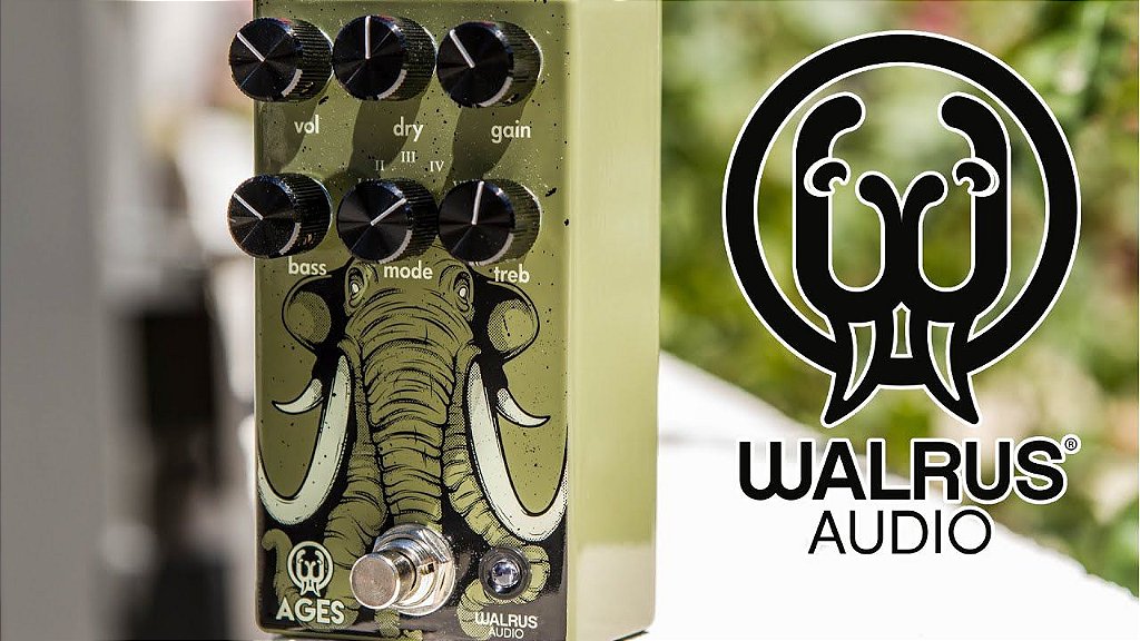 Walrus Audio Five State Overdrive - DG Sound - Importadora oficial