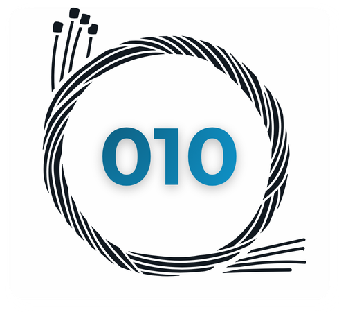 Categoria 010