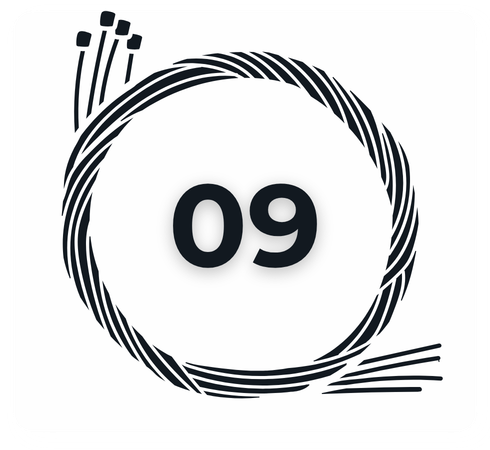 Categoria 09