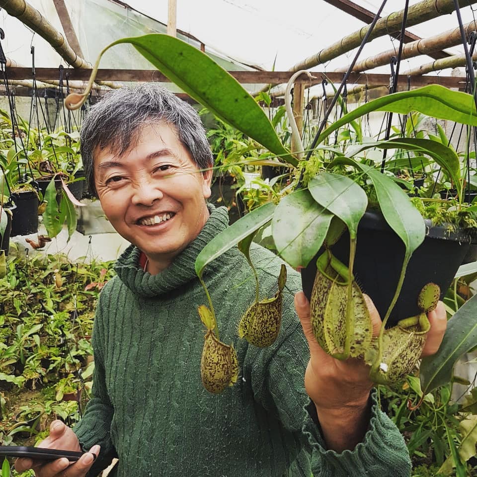 Foto de Marcos Ono, proprietário da Flora Ono, segurando um balde com folhas de sarracenias 