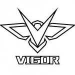 VIGOR