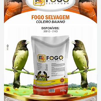FOGO SELVAGEM