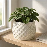 Vaso de Planta Geométrico X Planter Criandê