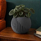 Vaso de Planta Japandi Criandê
