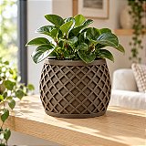 Vaso X Planter Geométrico Criandê Wood
