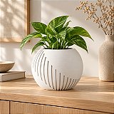 Vaso Japandi Esfera Criandê Branco
