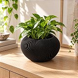 Vaso Grimalda com Inserto Criandê Preto