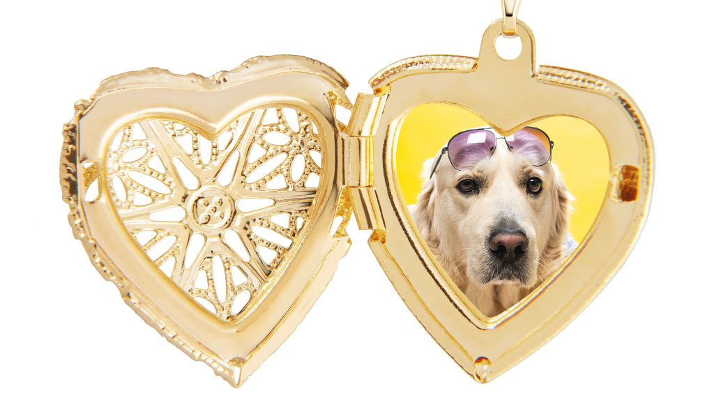 Joias para pet e as tendência de luxo para os melhores amigos