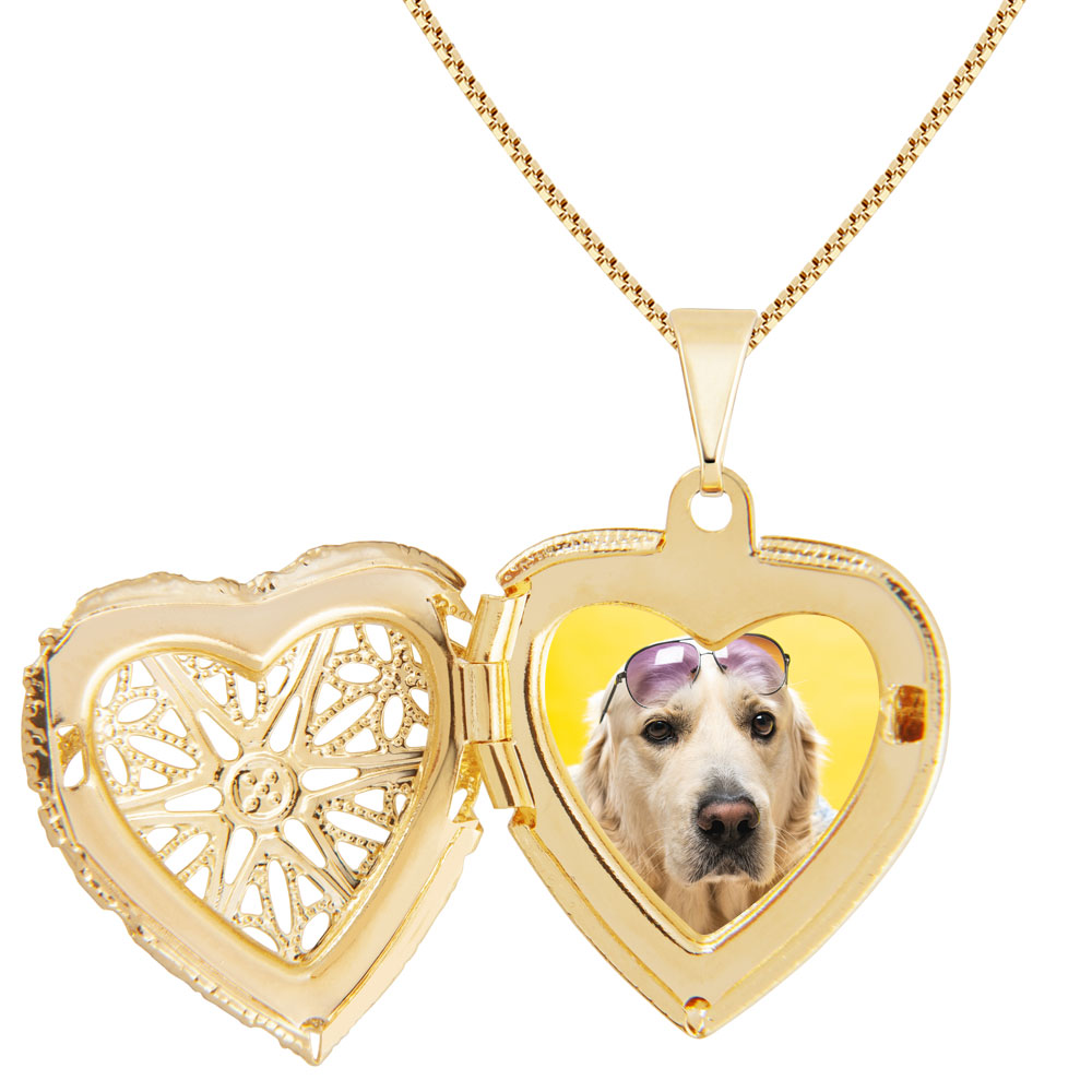 Joias para pet