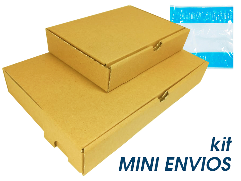 Kit para E-commerce Mini Envios 10 Caixas 24x16x4cm + 10 Caixas 16x11x3cm + 20 Sacos Canguru