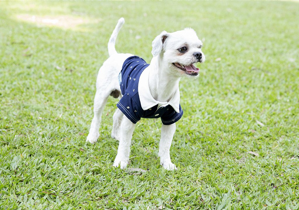 mama's boy dog moletom com capuz