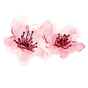 Logo de Bruna Covre Acessórios Finos