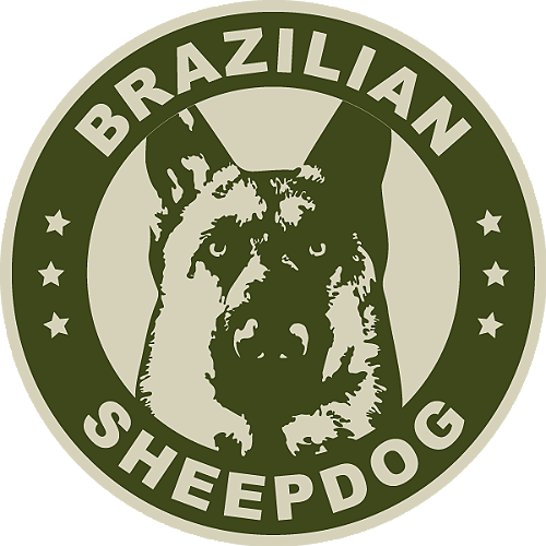 brazilian sheepdog
