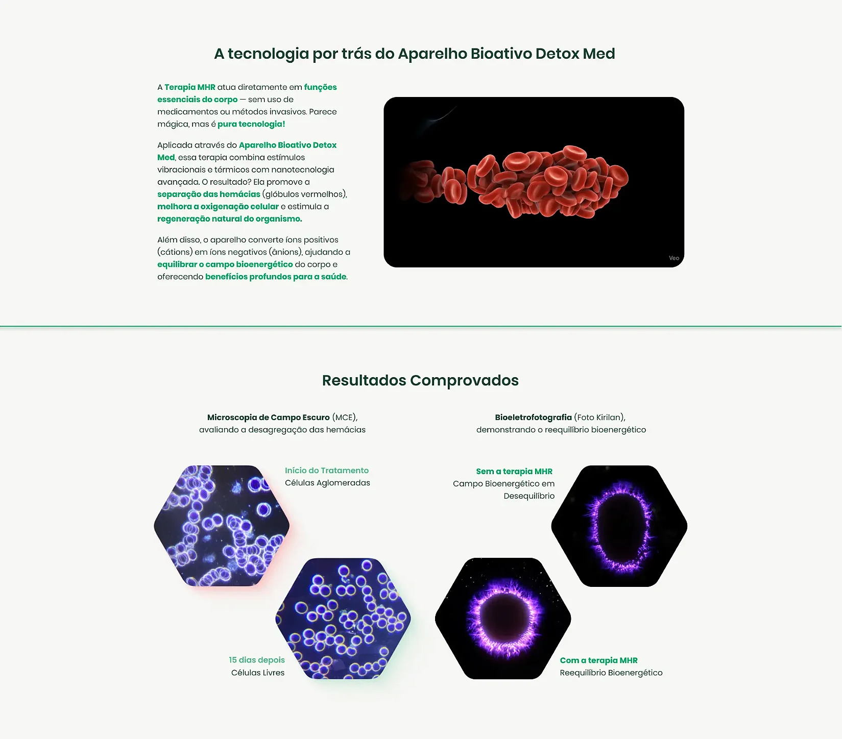Texto alternativo para a imagem