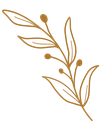 Logo de S H Y S