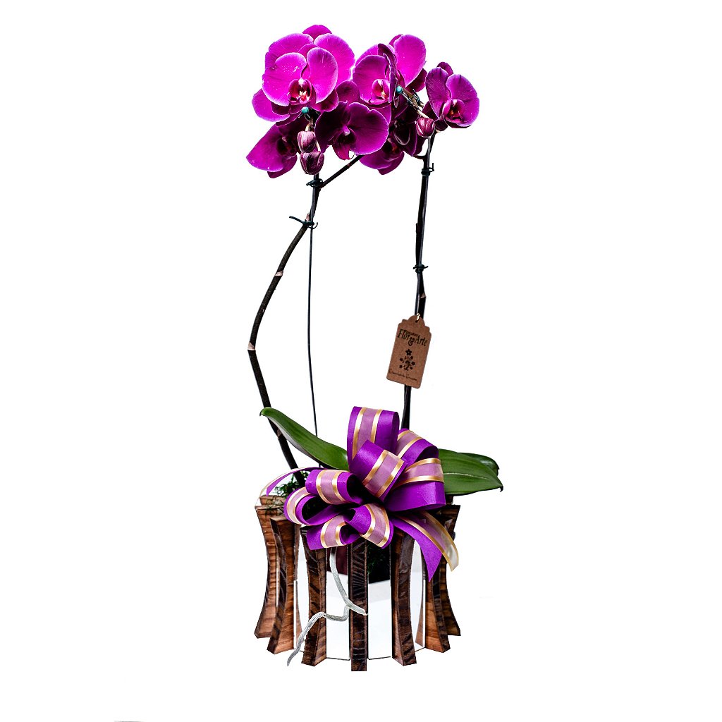 Orquídea Lilás - Floricultura Flor & Arte