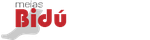 Bidú