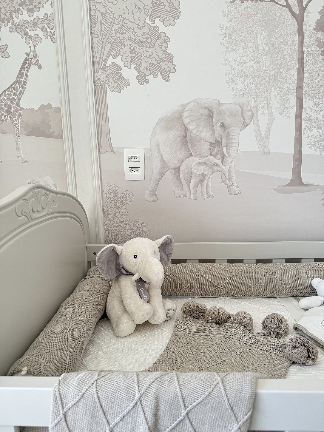 Quarto noah 7
