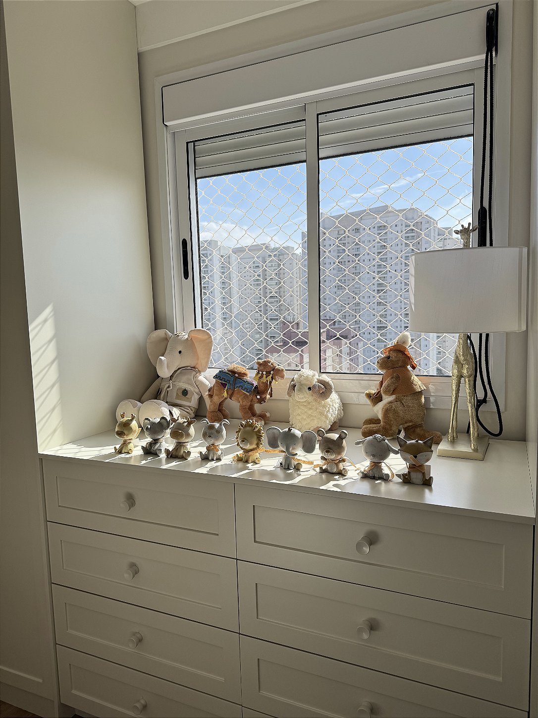 Quarto noah 8