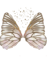 Logo de www.kappeoficial.com.br