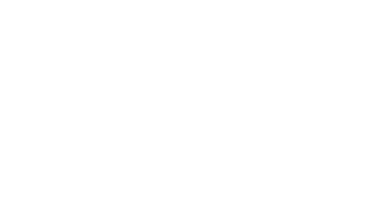 VIZZELA