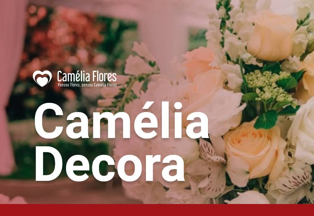 Camélia Decora - Camélia Flores | Floricultura, Paisagismo e Entrega de  Flores Online - RJ