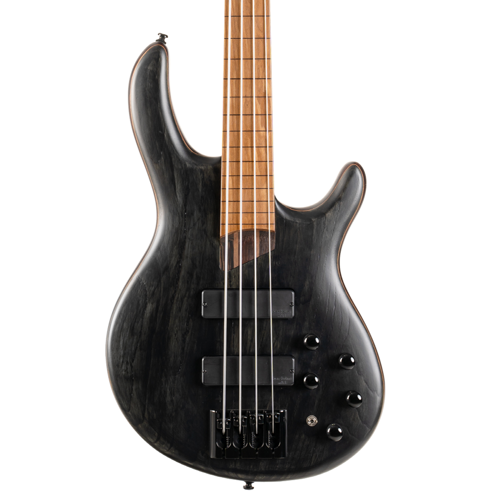 Cort B4 Element B4 ベース　コルト Element ベース