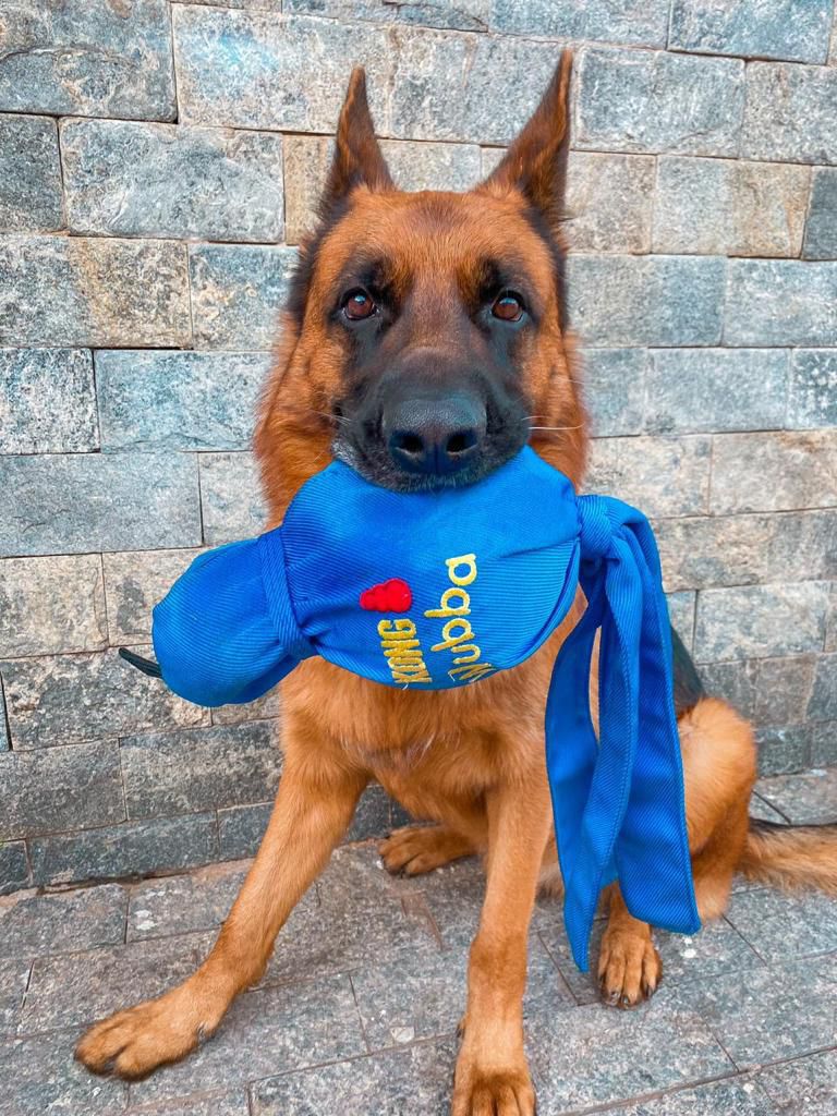 Kong Wubba MEGA All Pets Pet Shop online Referencia em produtos naturais