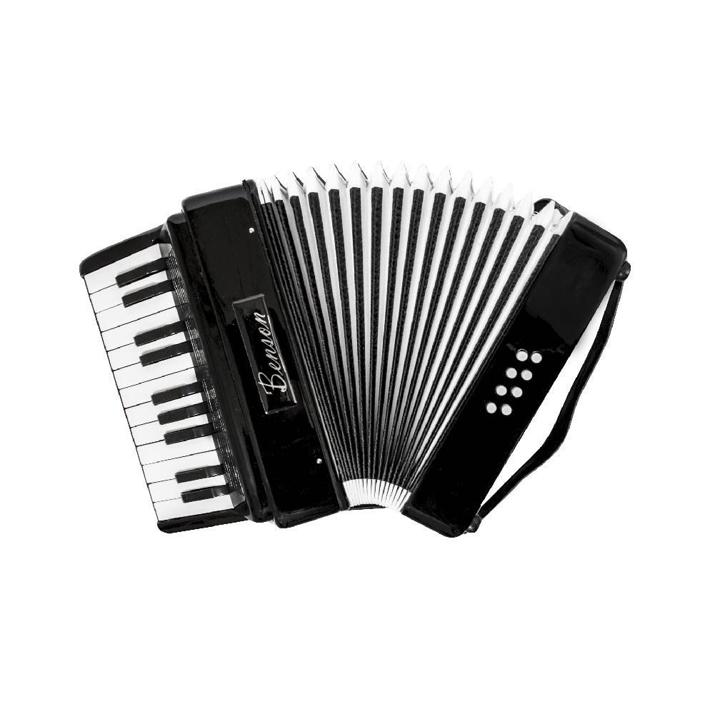 Acordeon Benson BAC08SBK 8 Baixos 22 teclas Preto Solido - King Musical -  Instrumentos Musicais