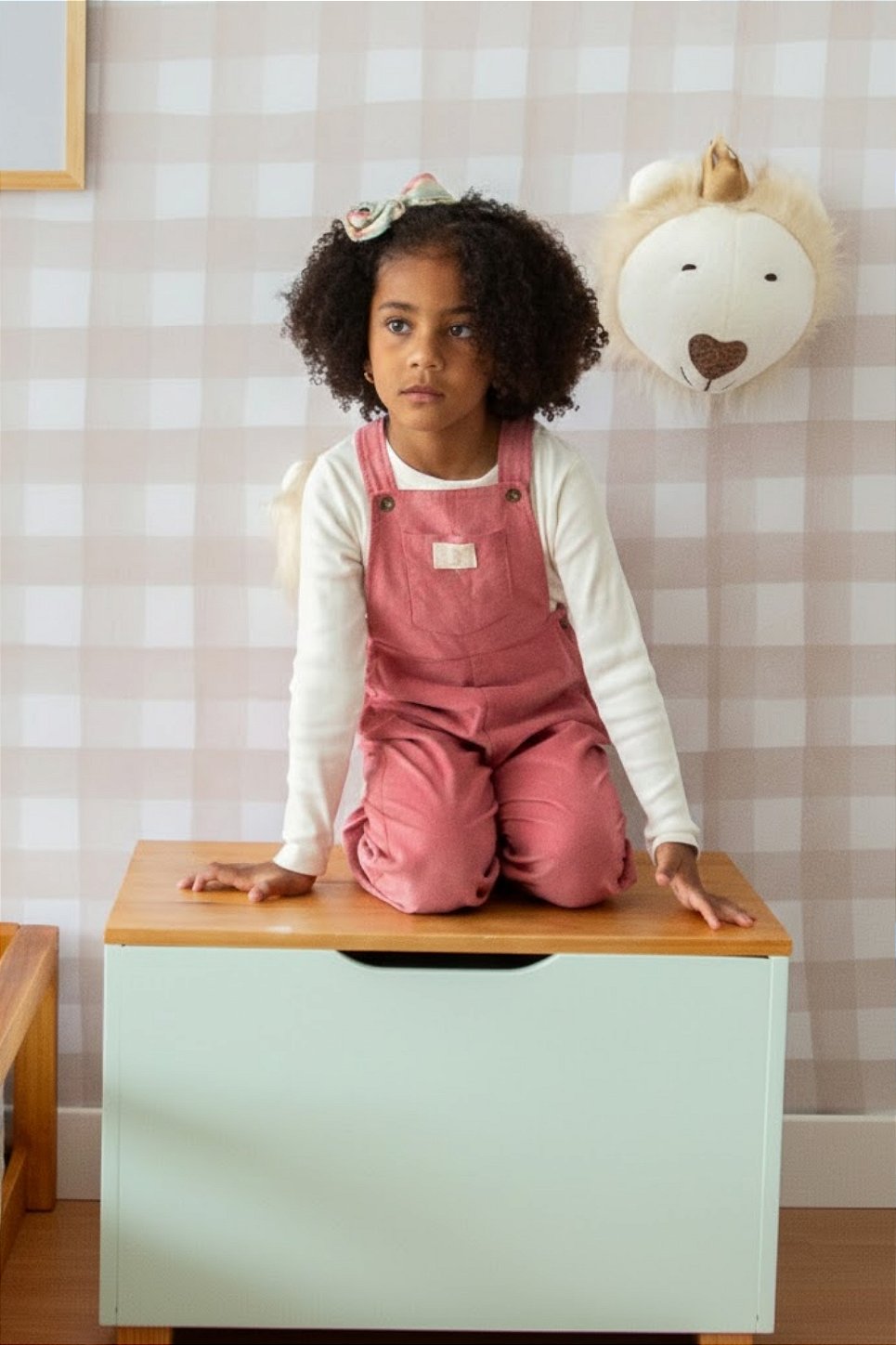 Baú Organizador de Brinquedos