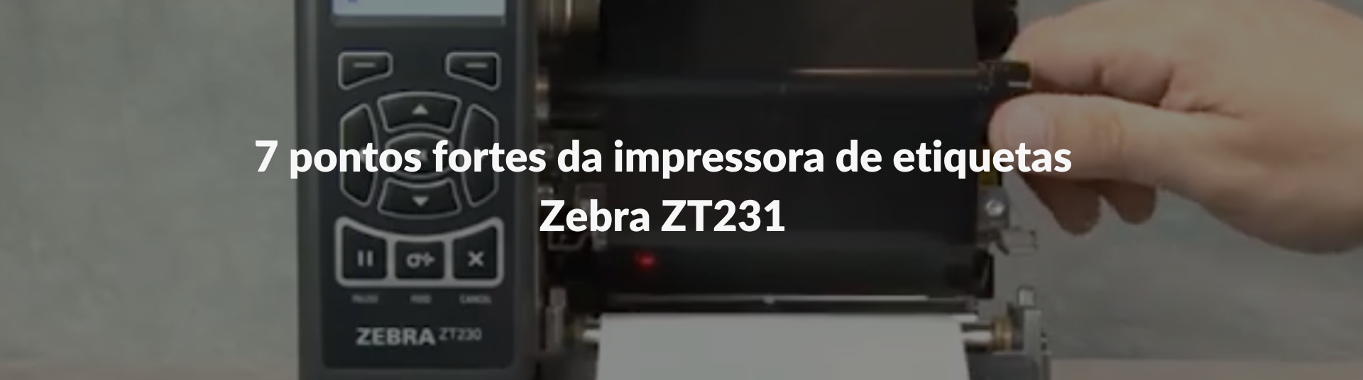 ZT231 ZEBRA