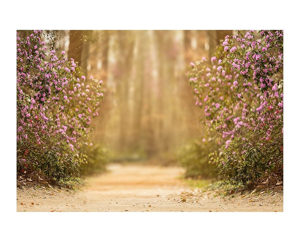 Fundo Fotográfico Tecido 3d Floresta Mágica 2,20m X 1,50m