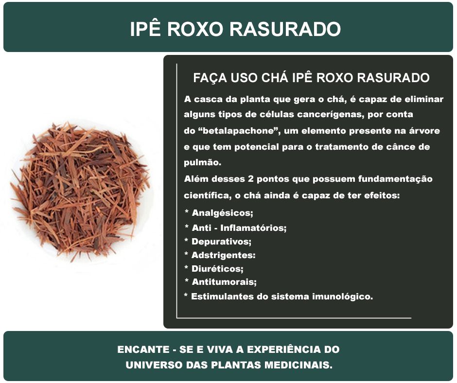 Actualizar 31  imagem quais os benefícios do chá de ipê roxo - br.thptnganamst.edu.vn