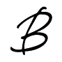 Logo de Berth Store