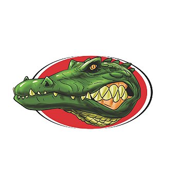 Alligator